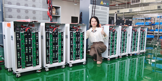 Pre Sale: EU Stock Free Shipping 51.2V 314ah 16.1KWH Lifepo4 Battery Pack