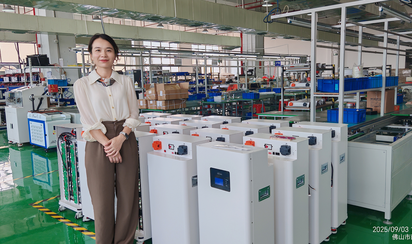 Pre Sale: EU Stock Free Shipping 51.2V 314ah 16.1KWH Lifepo4 Battery Pack (ETA: middle of Oct.)